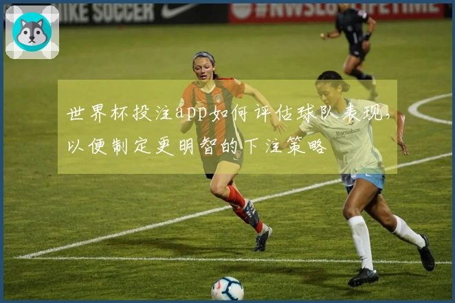 世界杯投注app如何评估球队表现，以便制定更明智的下注策略