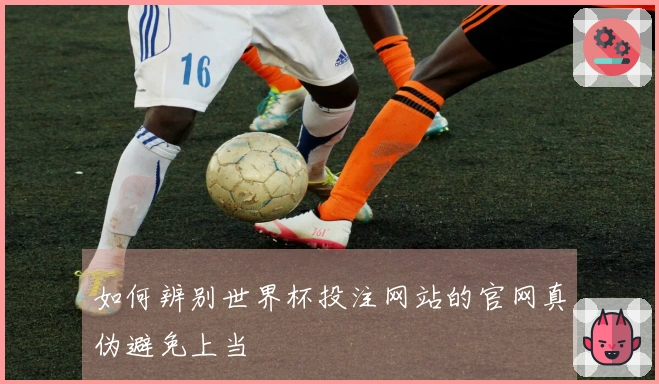 如何辨别世界杯投注网站的官网真伪避免上当