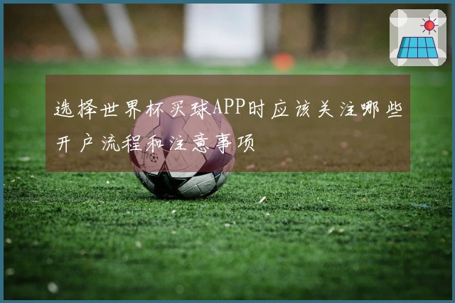 选择世界杯买球APP时应该关注哪些开户流程和注意事项